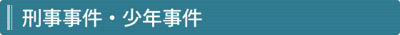 刑事事件・少年事件